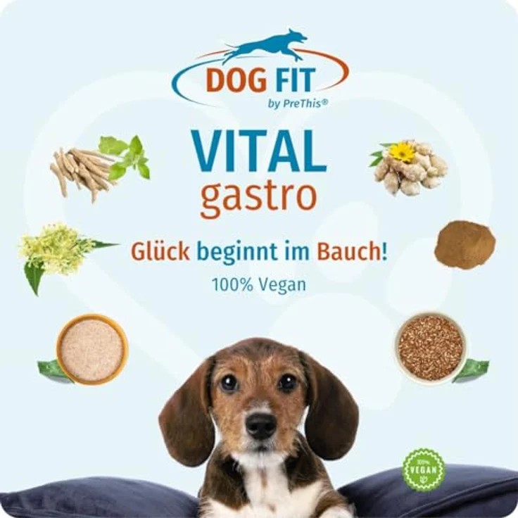 DOG FIT by PreThis® VITAL Gastro, natürliche Ergänzung für harmonische Verdauung beim Hund mit Bio Topinambur, Ashwagandha & Neem, vegan, 80 g – Bild 2