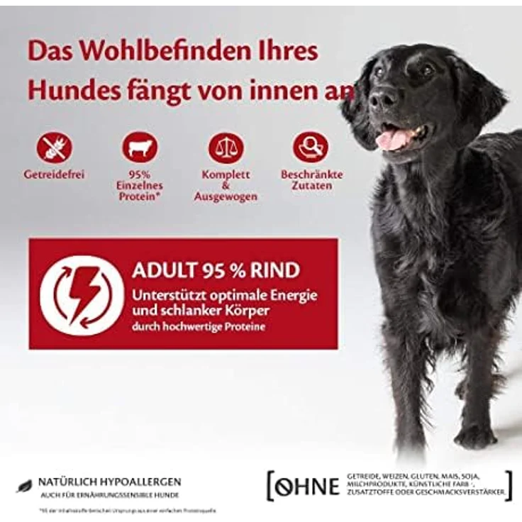 Wellness CORE 95% Rind & Brokkoli, getreidefreies Hundefutter Nass, stückige Pastete für ausgewachsene Hunde, hypoallergen, proteinreich, 6 x 400g – Bild 3