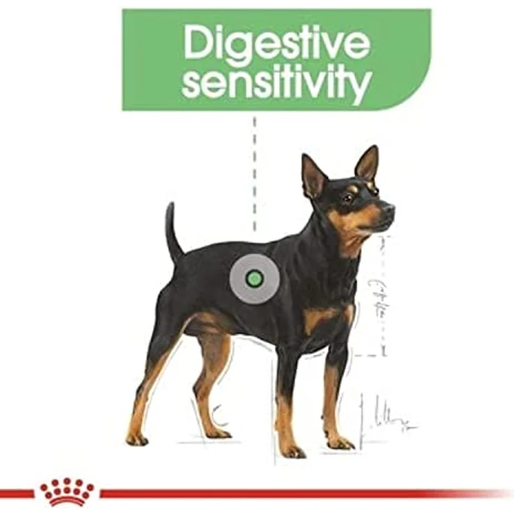 Royal Canin DIGESTIVE CARE MINI, Trockenfutter für kleine Hunde mit empfindlicher Verdauung, 3kg – Bild 8