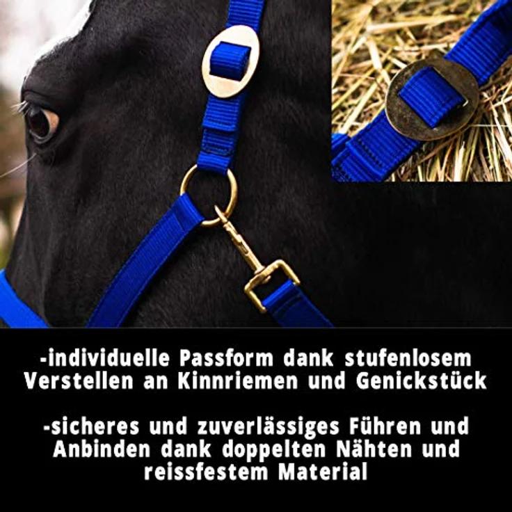 Pferdelinis Halfter für Pferd Warmblut, Vollblut, Kaltblut – Reißfestes Stall- und Weidehalfter, 2-fach verstellbar in Royalblau (Vollblut, Cob) – Bild 3