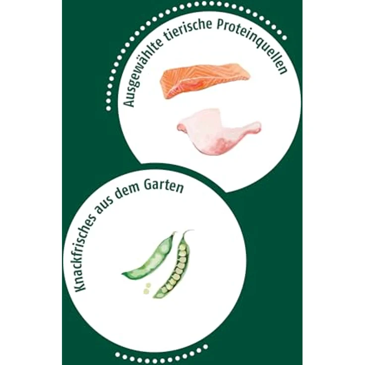 Christopherus Fleischmix mit Lachs, Getreidefreies Nassfutter für Hunde, 6 x 800 g Dosen – Bild 4
