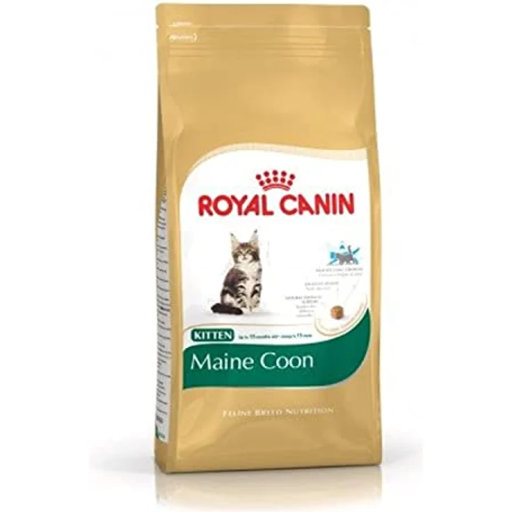 Royal Canin Kitten Maine Coon, Trockenfutter für Rassekatzen, 2 kg Packung – Bild 2