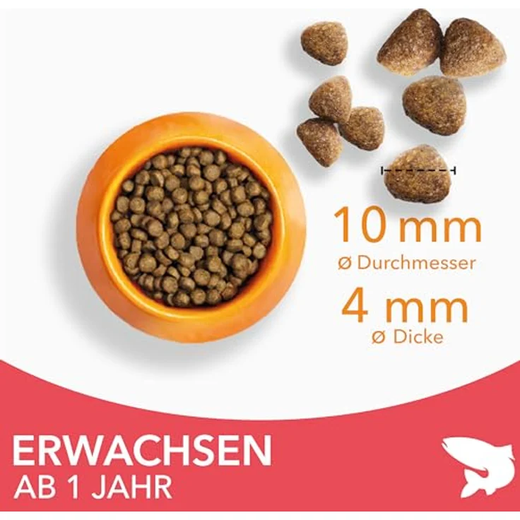 IAMS Katzenfutter trocken mit Lachs, 3 kg - Vollwertiges Trockenfutter für Katzen (1-6 Jahre), reich an tierischen Proteinen, weizenfrei, ohne künstliche Zusätze – Bild 2