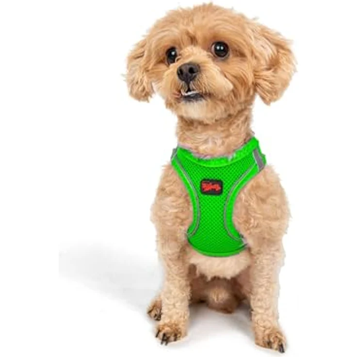 Tailpetz Air-Mesh Brustgeschirr für kleine und mittelgroße Katzen und Hunde – Weich, Atmungsaktiv, Strapazierfähig, Neongrün, 3XS (Brustumfang 28–30,5 cm) – Bild 1
