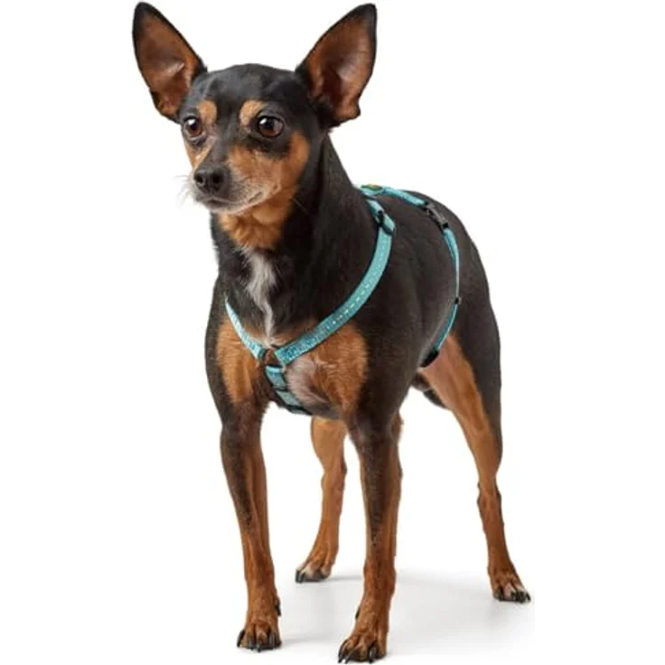 Hunter Hunde-Geschirr Tripoli hellblau XS-S – Bild 3