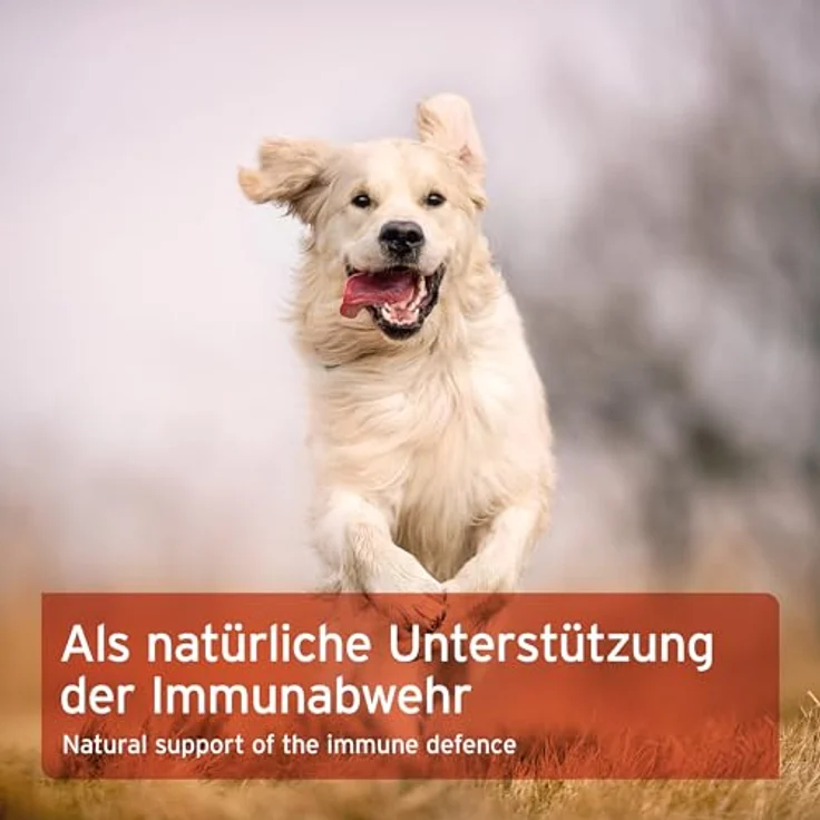 AniForte Propolis Pulver für Hunde & Katzen, 20g - Natürliches Propolispulver zur Unterstützung von Immunsystem und Hautgesundheit, hergestellt in Deutschland – Bild 5