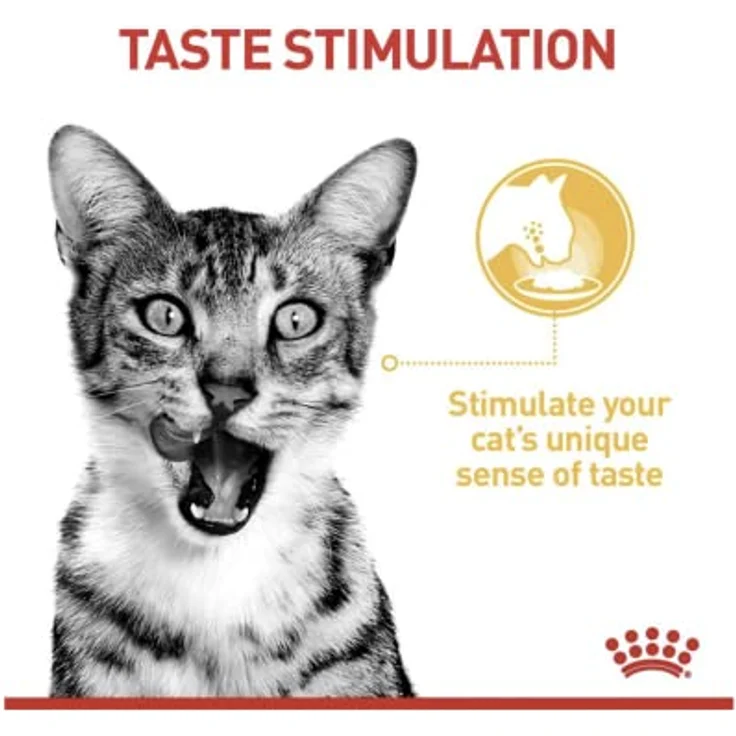 Royal Canin Sensory Taste in Gelee, Katzen-Nassfutter mit zartem Huhn, 12 x 85 g – Bild 5