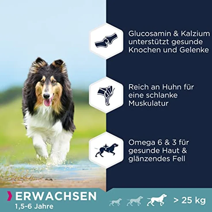 Eukanuba Hundefutter getreidefrei mit Huhn für große Rassen, Trockenfutter für ausgewachsene Hunde, 12 kg, reich an frischem Huhn, glutenfrei, mit Glucosamin für gesunde Gelenke – Bild 4