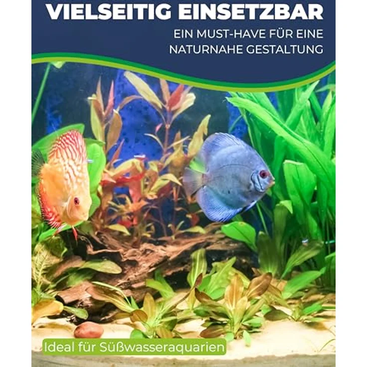 HOBBY Aquariendeko Heteranthera, künstliche Aquariumpflanze 34 cm mit natürlicher Bewegung und Felsenbasis – Bild 5