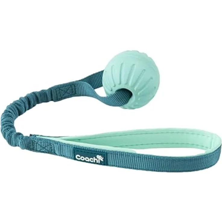 Coachi Puppy & Mini Tuggi Ball, Hundespielzeug aus robustem Schaumstoff mit dehnbarem Bungee-Griff, ideal für Zerrspiele und Apportieren