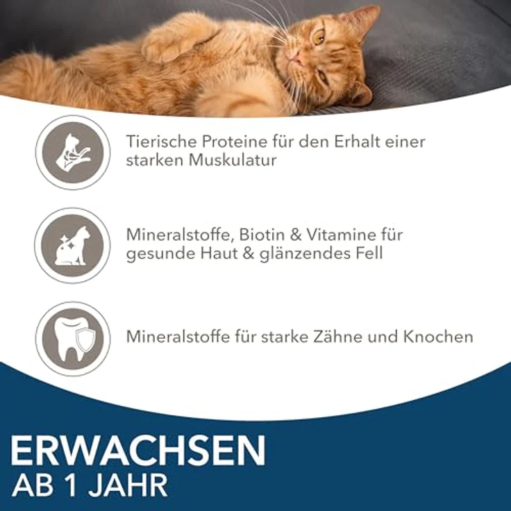 IAMS Delights Katzenfutter Nass mit Thunfisch & Hering in Gelee, Multipack für Erwachsene Katzen, 24 x 85g, ohne künstliche Zusatzstoffe, 99% tierische Proteine – Bild 4