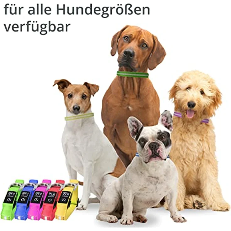 BI International Leuchthalsband für Hunde [Das Original], LED Hundehalsband mit 3 Leuchtmodi und langlebigem Metallverschluss, schnelles Aufladen über USB – Bild 4
