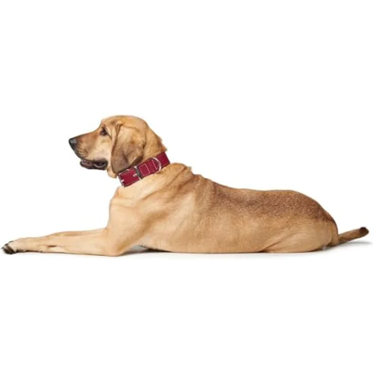 Hunter Hunde-Halsband Aalborg Special rot XS – Bild 8
