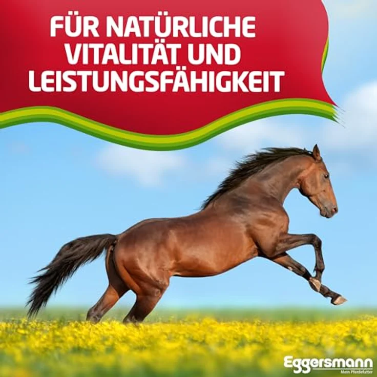 Eggersmann Mein Pferdefutter Profi Elektrolyte, 1 kg Ergänzungsfuttermittel zur Verlustregulation von Nährsalzen - Ideal für intensive Trainingsphasen, hohe Ergiebigkeit – Bild 5