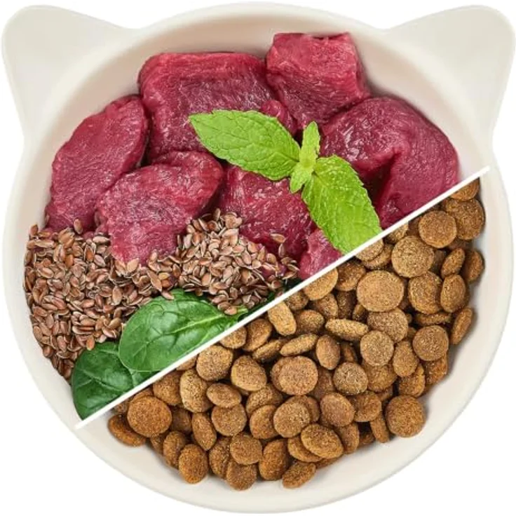WOW Cat Adult Rind, Premium-Trockennahrung für ausgewachsene Katzen, 2 kg, ohne Getreide, reich an Rindfleisch und tierischem Protein – Bild 3