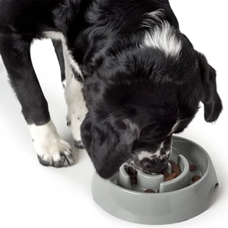 HUNTER ATLANTA Anti-Schlingnapf, Futternapf für Hunde und Katzen, zur kontrollierten und verlangsamten Futteraufnahme, 550 ml, grau – Bild 7