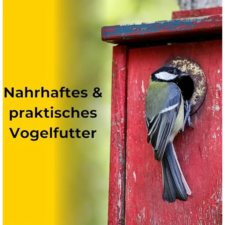 Boill Sonnenblumenkerne geschält 25 kg, 100% Naturprodukt ohne Zusatzstoffe, HACCP zertifiziert – Bild 2
