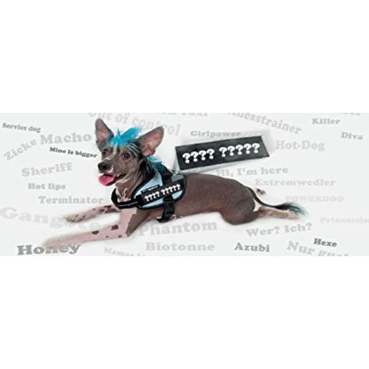 Julius-K9® Powergeschirr Baby & Mini rot Mini (M) – Bild 8