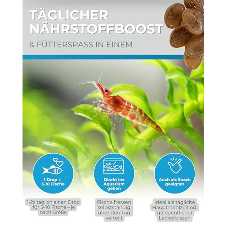 Dupla Gel-O-Drops Red Mosquito I 12 x 2 g I Nährstoffreiches Geleefischfutter mit roten Mückenlarven I Leicht dosierbar und ungekühlt lagerbar – Bild 5