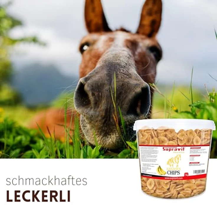 Supravit Bananenchips für Pferde, 2kg Eimer, knusprige Bananenscheiben aus 100% echten Bananen, gesundes Ergänzungsfutter, ideales Pferdeleckerli – Bild 5