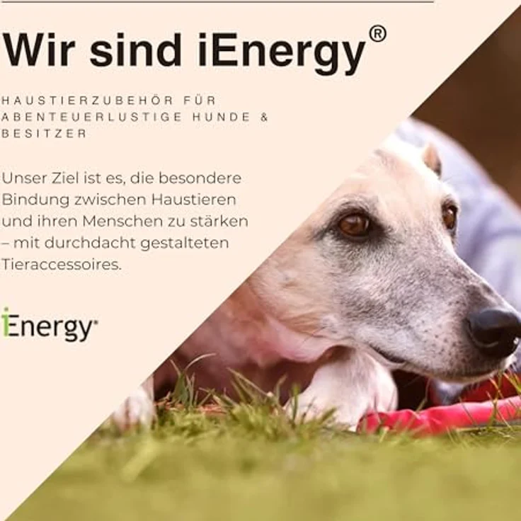 iEnergy MAL Rucksack für Hunde S – Bild 8