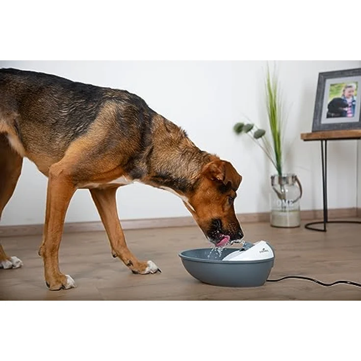 Kerbl Trinkbrunnen Classic Pet Fountain, 1,75 l, geräuscharm mit 2 Wasserauslässen und aktivem Kohlenfilter – Bild 2