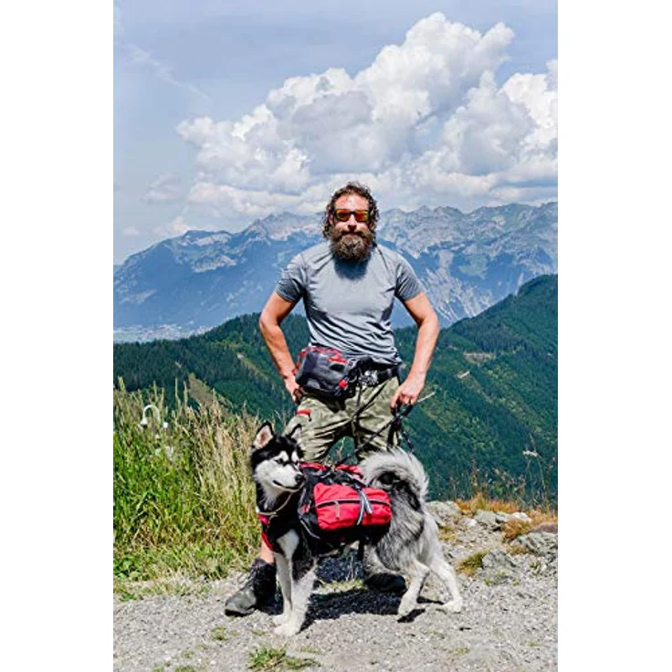 iEnergy MAL Rucksack für Hunde L – Bild 7