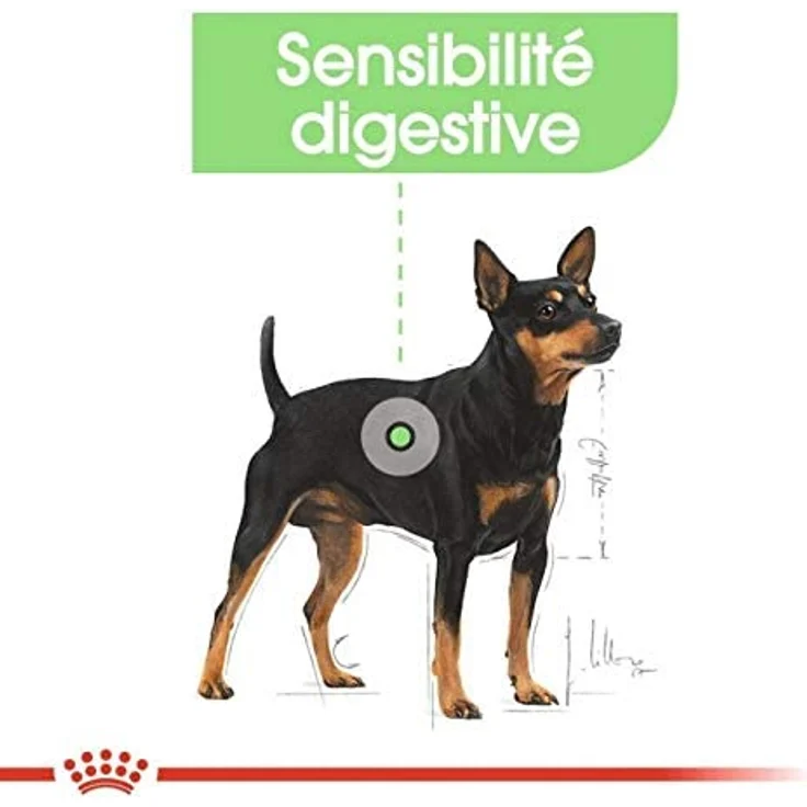 Royal Canin Digestive Care, Nassfutter für Hunde mit empfindlicher Verdauung, 12x85g, ausgewogene Rezeptur zur Unterstützung der Darmflora – Bild 3