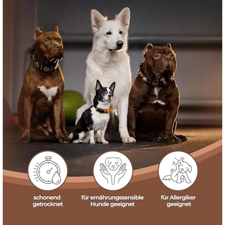 mascota vital Pferde-Lunge 200g, 100% Pferd, schonend getrocknet, hypoallergen und leicht verdaulich, weiche Konsistenz – Bild 5