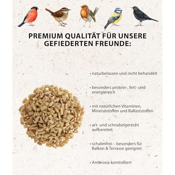 Dehner Natura Premium Wildvogelfutter, Sonnenblumenkerne schalenfrei, proteinreiches Ganzjahresfutter für Wildvögel, 5 kg – Bild 3