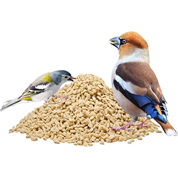 Paul´s Mühle Erdnüsse für Vögel, gehackte Erdnusskerne, 10 kg, Premiumqualität aus Argentinien, ganzjähriger Vogelsnack – Bild 3