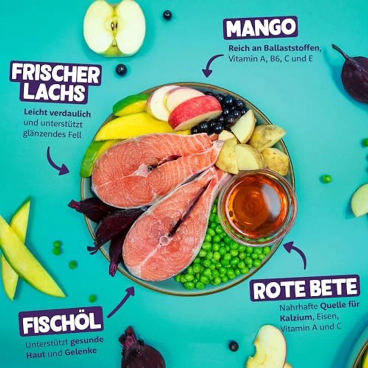 Edgard & Cooper Frischer norwegischer Lachs, Hunde-Trockenfutter, getreidefrei, 2x12kg mit hochwertigem Protein und Omega 3 – Bild 2