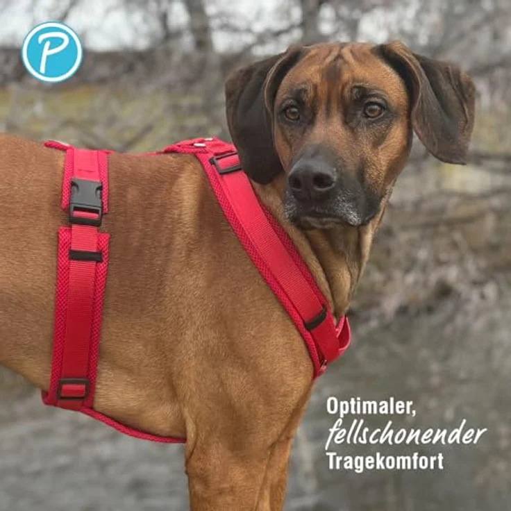 Petlando Hundegeschirr Y-Comfort, gepolstert, leicht & atmungsaktiv, stufenlos verstellbar, ergonomisch, für mittelgroße Hunde, Rot, M – Bild 4