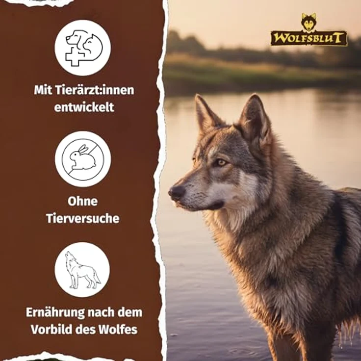 WOLFSBLUT Wide Plain Adult, Nassfutter mit Pferd und Superfood-Mix, getreidefreies Alleinfutter für ausgewachsene Hunde, 6x800g – Bild 4