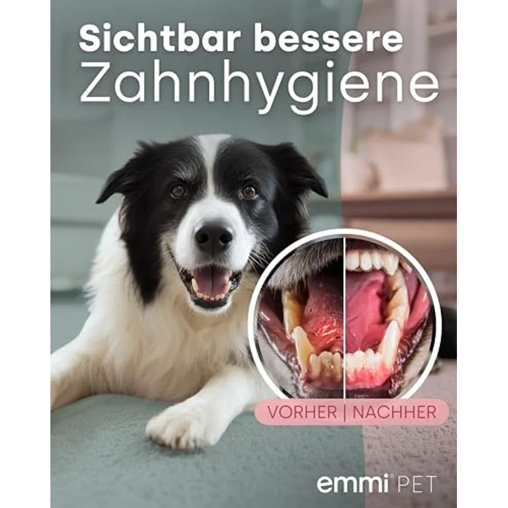 Emmi-pet emmi-PET PRO Ultraschall-Zahnbürste für Hunde, geräuschlos, gegen Zahnstein & Plaque, schonende Zahnpflege, 12 Tage Akkulaufzeit – Bild 4