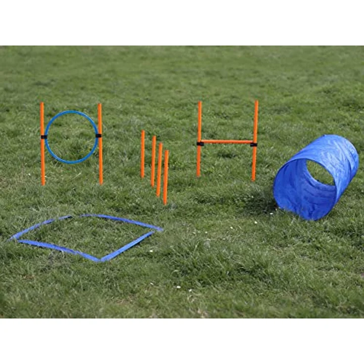 Lemodo Agility Set für kleine und mittlere Hunde, Hundetraining mit Agility Hürde, Hundetunnel und Sprungring, individuell anpassbar – Bild 2