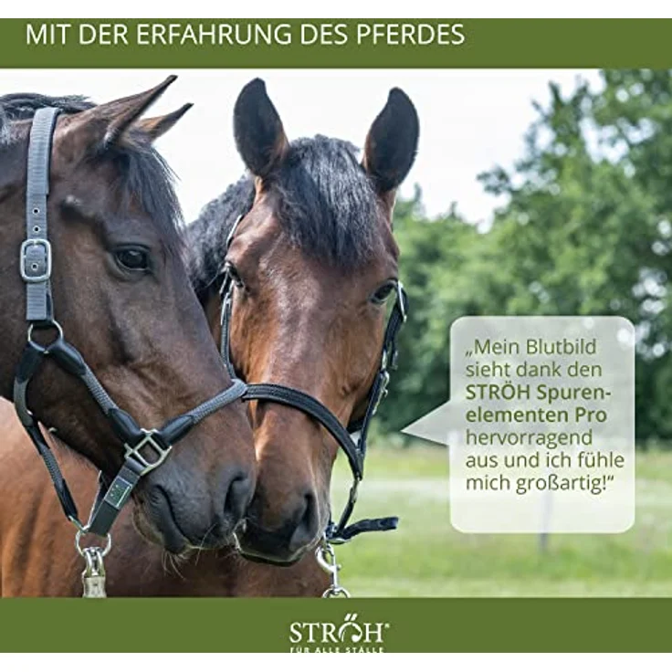 STRÖH Spurenelemente Pro Pferd (4kg) • Mineralfutter mit Zink, Mangan, Eisen, Kupfer, Selen, Jod und Cobalt • Ergänzt mit Kräutern für bessere Verdauung und Wohlbefinden – Bild 5