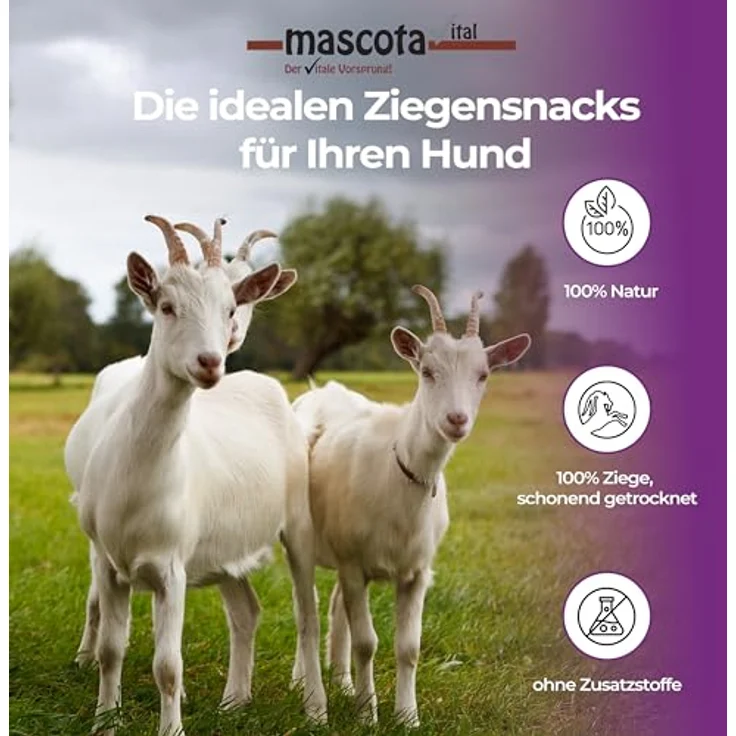 123... Hund dabei! mascota vital – Getrocknete Ziegenhaut für Hunde, 100% Natürlicher Kausnack, Reich an Proteinen, Ohne Zusatzstoffe, Schonend Getrocknet, 200g – Bild 4
