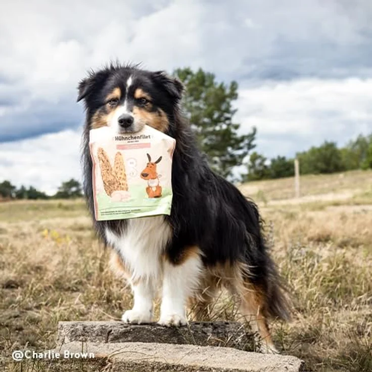 Bosch Sammy's Hühnchenfilet 190g, zarte Hundesnacks für kleine und große Feinschmecker – Bild 5