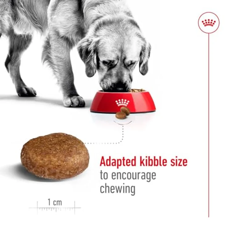 Royal Canin MAXI Adult 5+, Trockenfutter für ältere große Hunde (26-44kg), 4kg – Bild 7