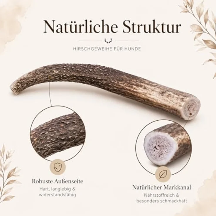 mascota vital - Hirschgeweih - 100% Hirschgeweih - Ideal für die Zahnpflege - 100% Natürlich - Geweih - Kauknochen - Hundespielzeug - Geweih vom Rothirsch (XXL (160-250g), ganz) – Bild 5