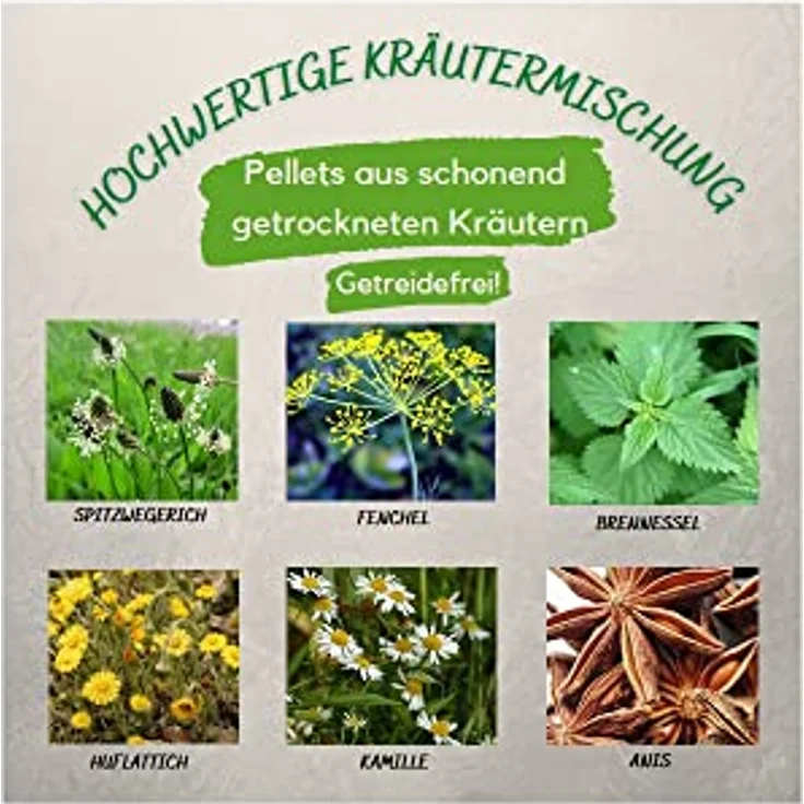 Barbara Seitz Vitality AtemAktiv Pellets, Kräutermischung für Pferde, staubfrei, Bronchialkräuter, beruhigt die Atemwege, fördert das Abhusten, (900 g) – Bild 3