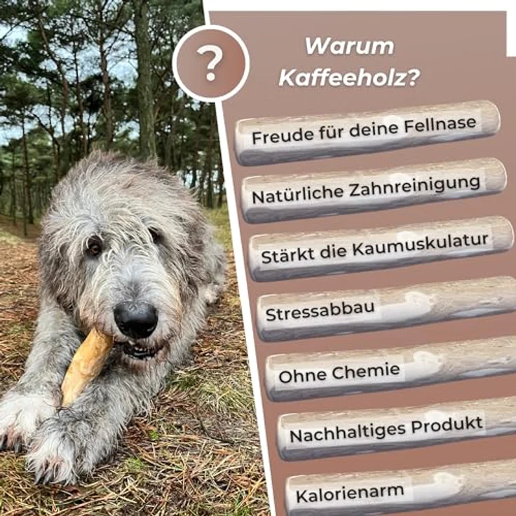 ZOYS Kaffeeholz für Hunde, 3er VORTEILSPACKUNG XXL, natürlicher Kauknochen für Zahnreinigung und Zahngesundheit, robust und risikoarm – Bild 5