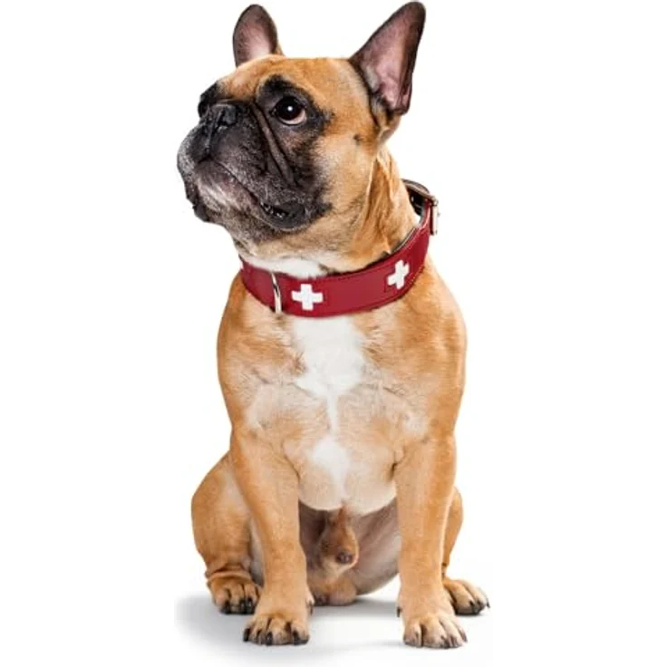 Hunter Hunde-Halsband Swiss rot-schwarz XS – Bild 8
