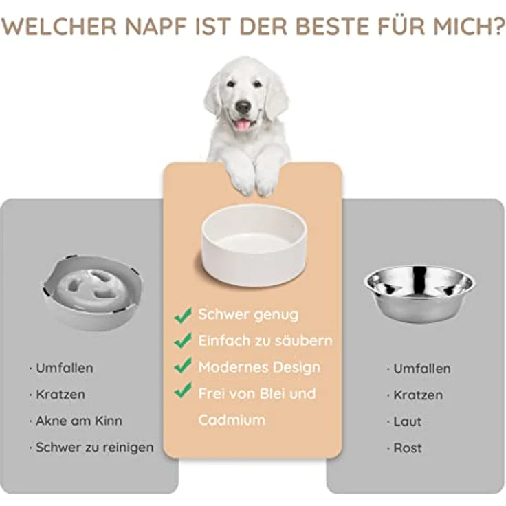 SPUNKYJUNKY Keramik Futternapf mit Bambus Ständer, 400ml für Katzen und kleine Hunde, sicherheitsgeprüft und langlebig, Weiß-Einzel – Bild 2