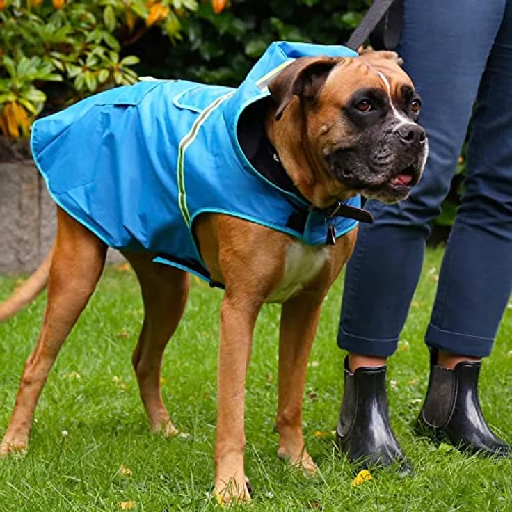 Bella & Balu Hunderegenmantel, Wasserdichter Hundemantel mit Kapuze und Reflektoren für sichere Gassigänge, Größe L, Blau – Bild 5