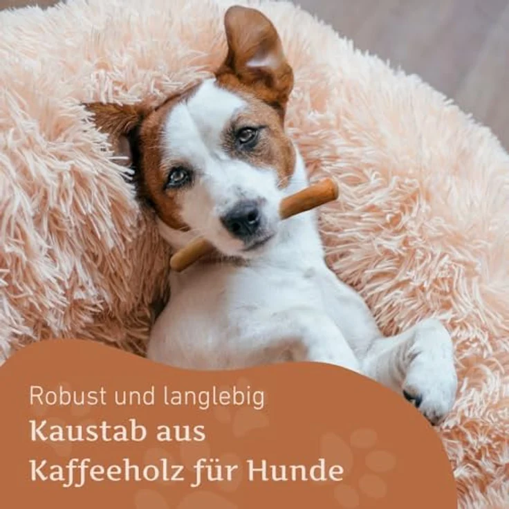 Wildfang® Kaffeeholz Kaustick für Hunde, unzerstörbares Kauspielzeug aus 100% natürlichem Kauholz, Größe XS (unter 10 kg) für aggressive Kauer & Welpen im Zahnwechsel – Bild 3