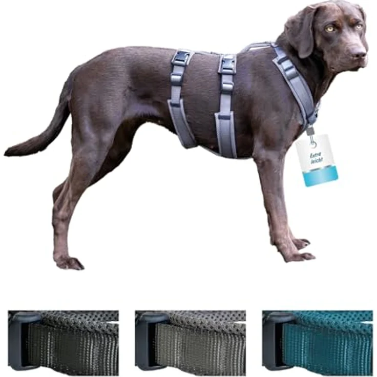 Petlando Sicherheitsgeschirr Mesh, ausbruchsicher mit extra Bauchgurt, weich gepolstert, atmungsaktiv, stufenlos verstellbar, für kleine Hunde, Petrol, Größe S – Bild 5