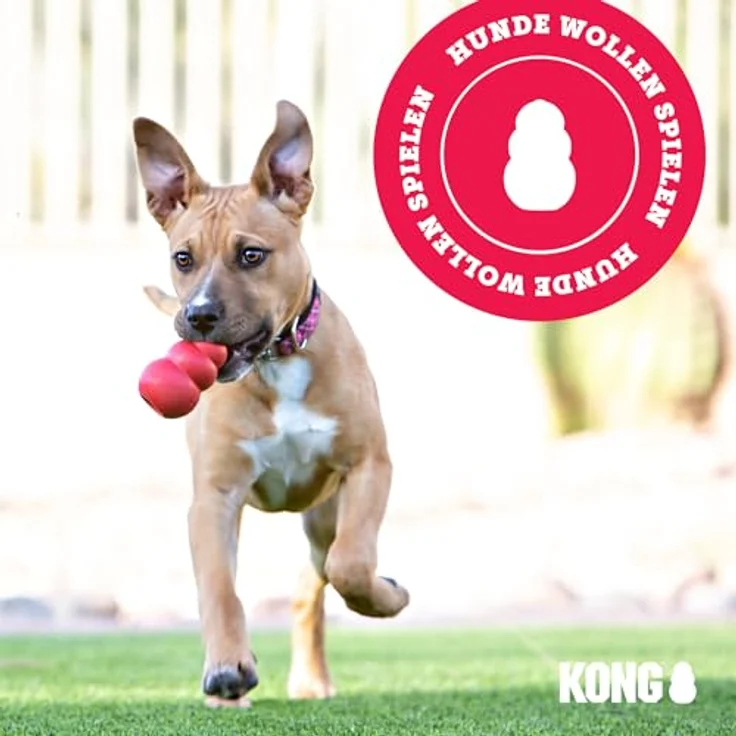 KONG Aqua – Bild 9