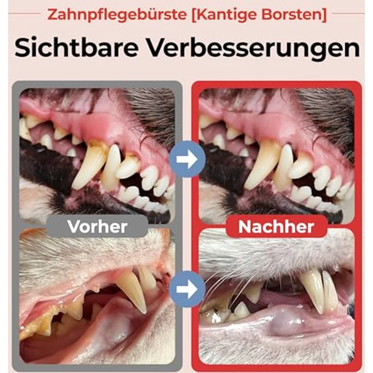 JAYU PET Zahnpflegebürste, 3 Stück - Mikro-Rundkopf mit diagonalen Borsten für Katzen und kleine Hunde, ergonomischer Griff – Bild 2